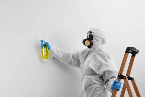 Best Mold Odor Removal Services in Tanglewilde, WA