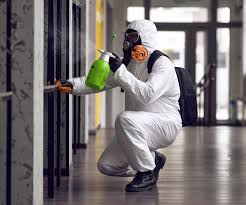 Best Mold Prevention Services in Tanglewilde, WA